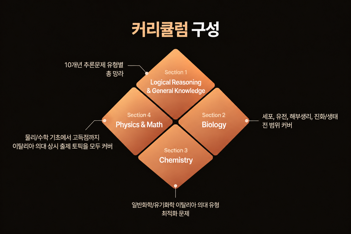커리큘럼 구성 인포그래픽.png